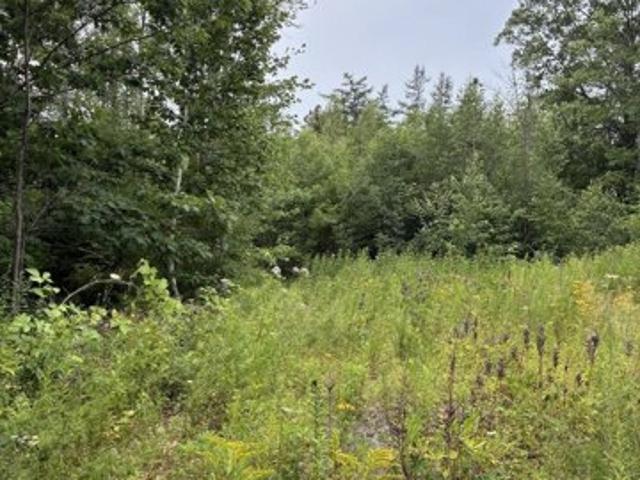 Land for sale in Bar Harbor, Maine