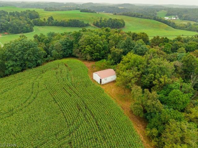 Land for sale in New Concord, Muskingum County