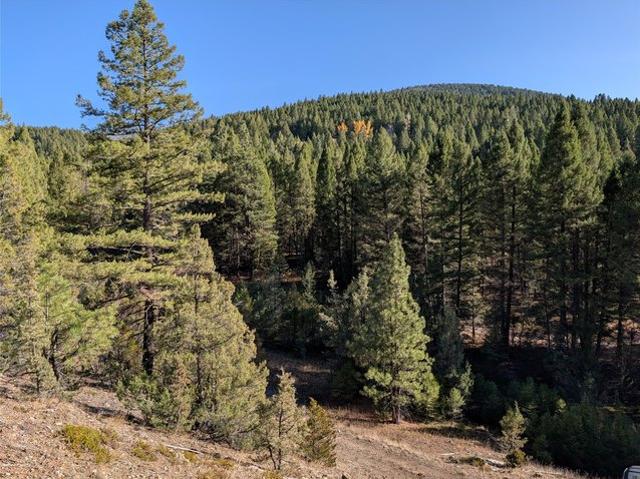 Land for sale in Granite, Montana