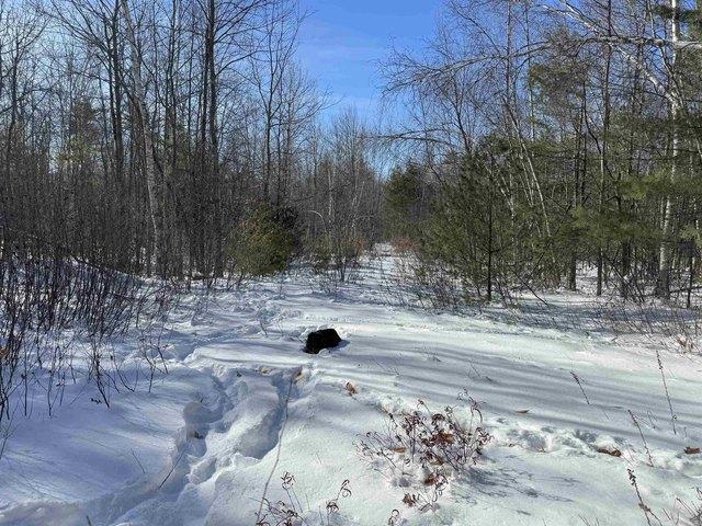Land for sale in New Hampshire