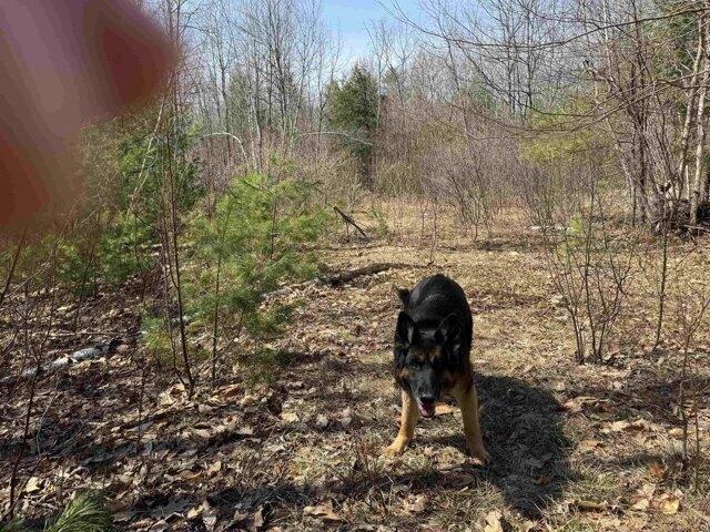Land for sale in New Hampshire