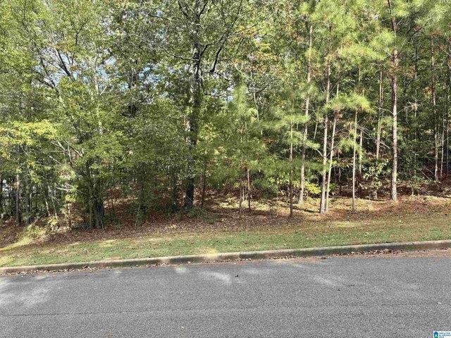 Land for sale in Dora, Alabama