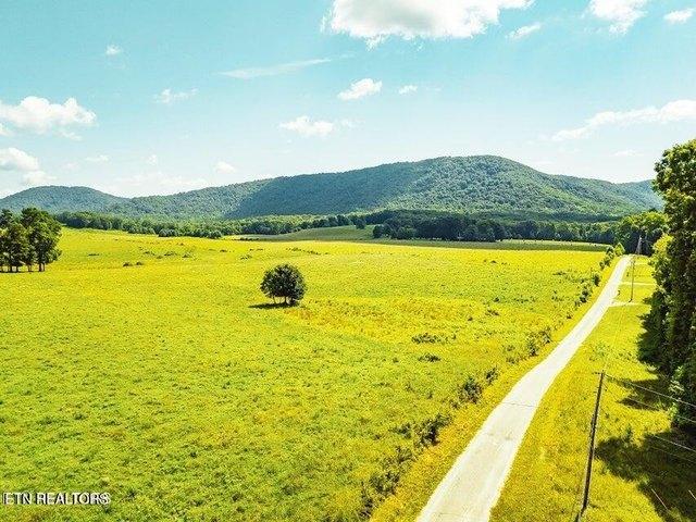Land for sale in Sunbright, East Tennessee