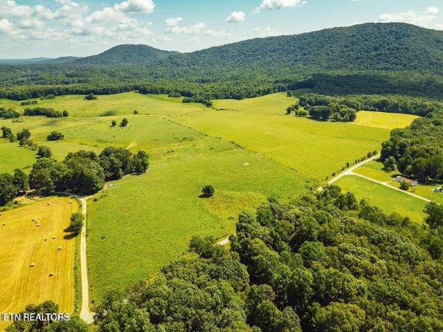 Land for sale in Sunbright, East Tennessee