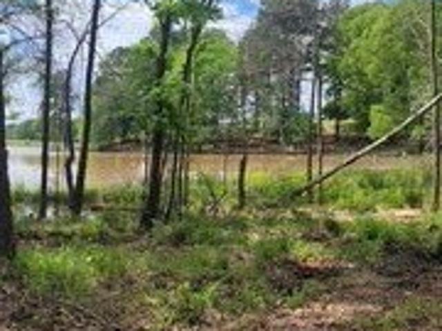 Land for sale in Big Sandy, Texas