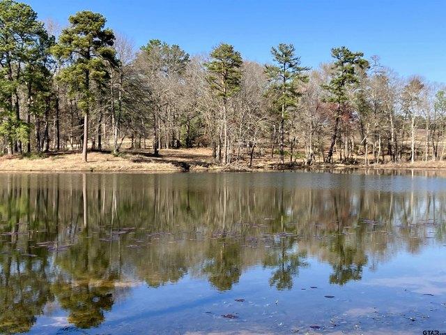 Land for sale in Big Sandy, Texas
