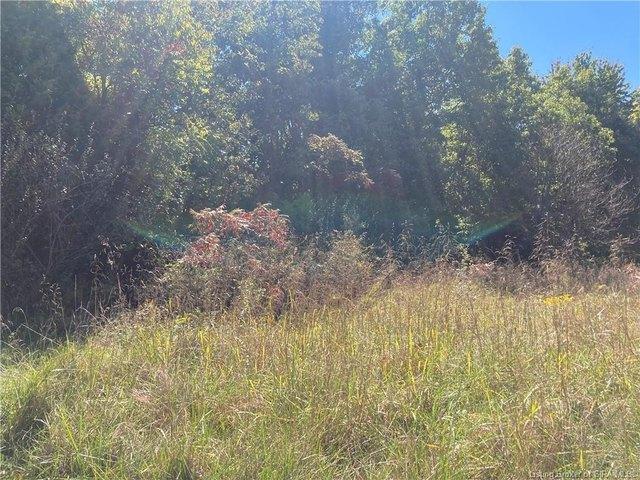 Land for sale in Catherine, Indiana