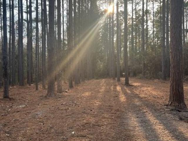 Land for sale in Bonifay, Florida
