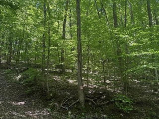 Land for sale in Tennessee