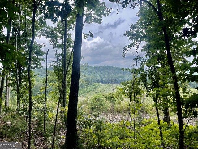 Land for sale in Summerville, Chattooga County