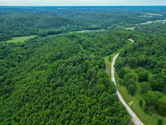 Land for sale in Tunas, Missouri