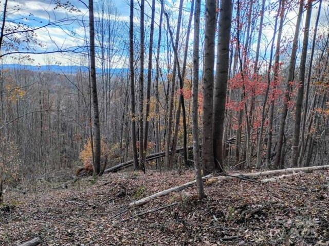 Land for sale in Lenoir
