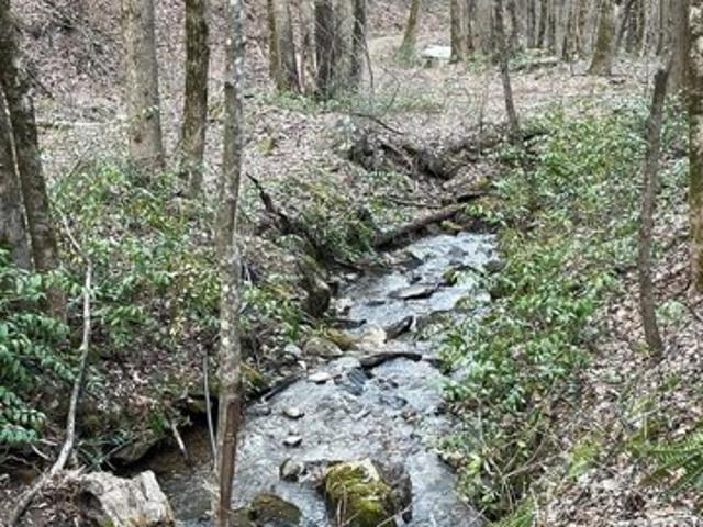 Land for sale in Bryson City, North Carolina