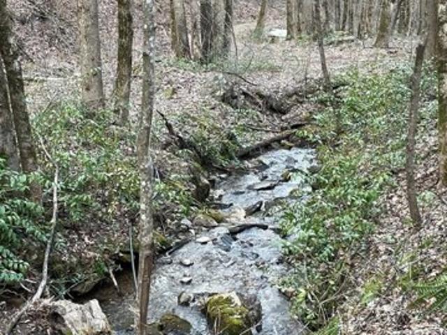 Land for sale in Bryson City, North Carolina