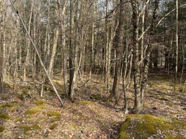 Land for sale in Pocono Lake