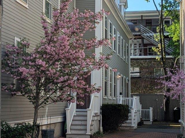 Condo for sale in Brookline
