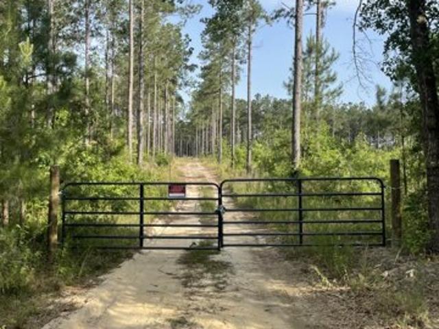 Land for sale in Williston