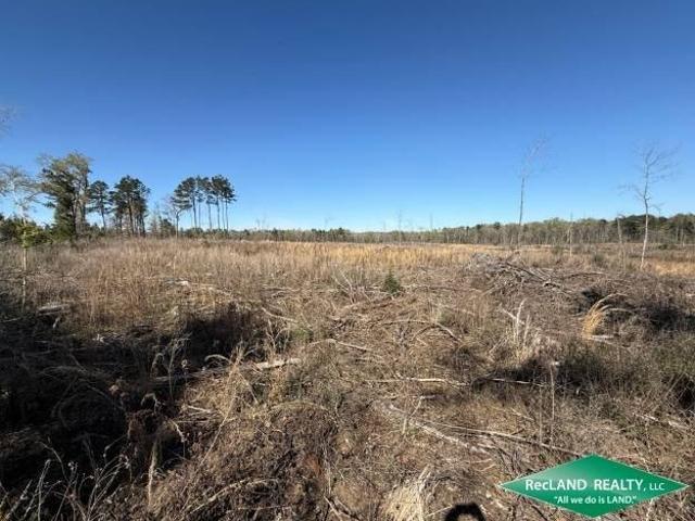 Land for sale in Louisiana