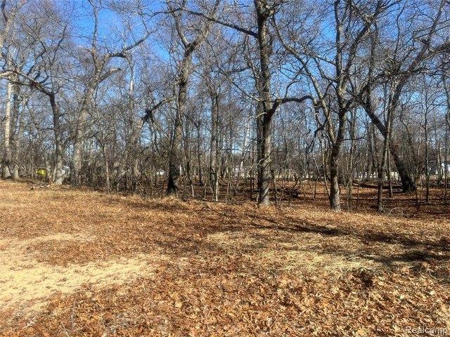 Land for sale in Caseville, Michigan