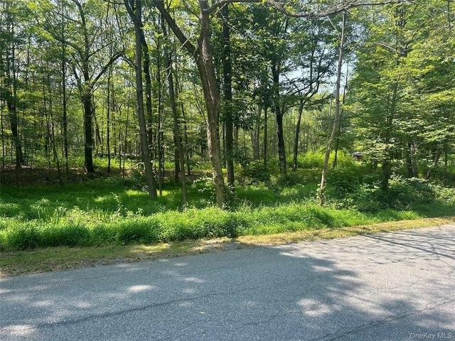 Land for sale in Rhinebeck, New York
