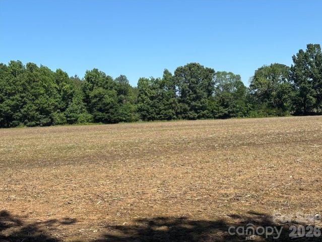 Land for sale in Peachland, North Carolina