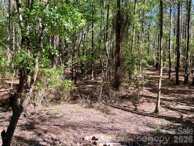 Land for sale in Polkton, North Carolina