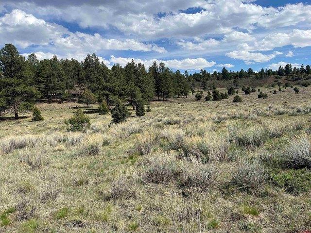 Land for sale in Ridgway, Colorado