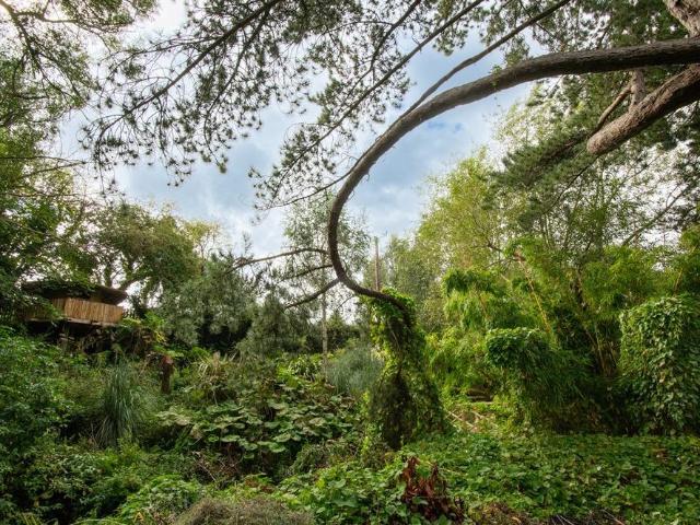 House to rent in Dublin 16, Dublin