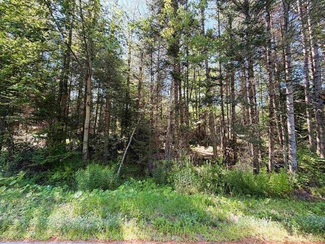 Land for sale in New Hampshire