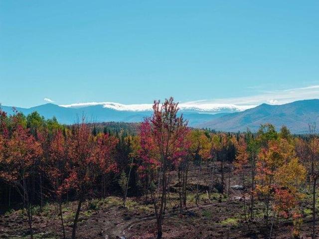 Land for sale in Lancaster, Coös County