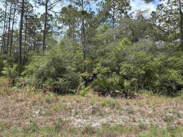 Land for sale in Panacea, Florida