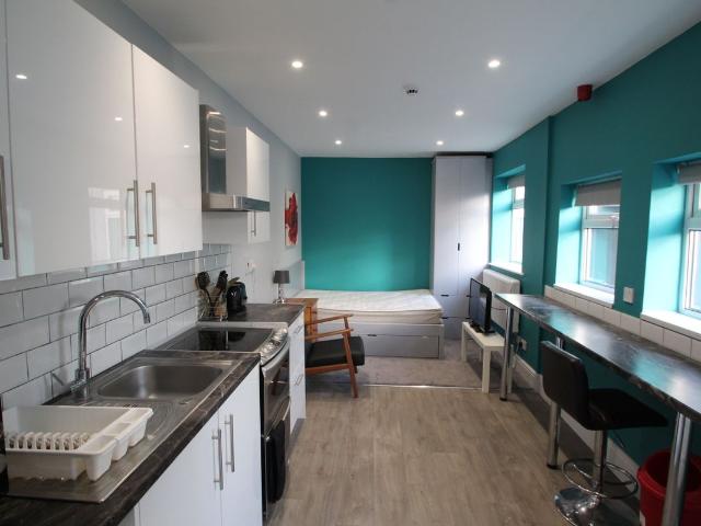 Studio for rent in Ellistown and Battleflat, Ellistown