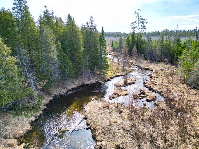 Land for sale in Gaylord, Michigan