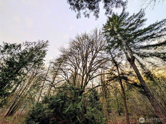 Land for sale in Lakebay, Washington