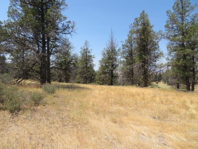 Land for sale in California