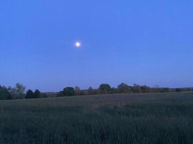 Land for sale in Poolesville