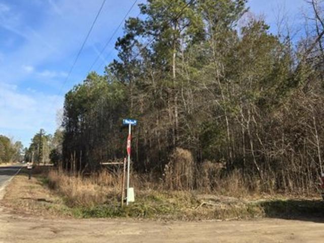Land for sale in Reevesville, South Carolina