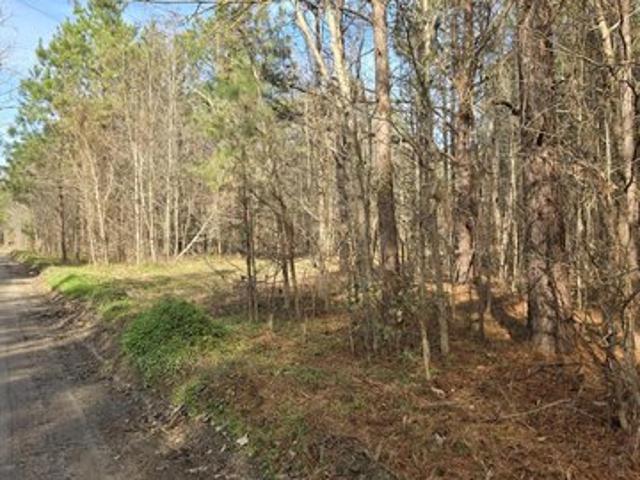 Land for sale in Reevesville, South Carolina