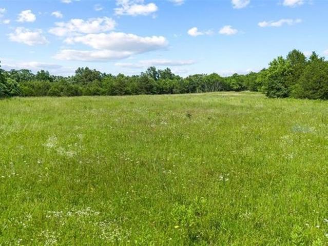 Land for sale in Barnett, Missouri