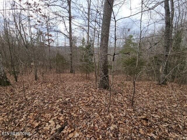 Land for sale in Tennessee