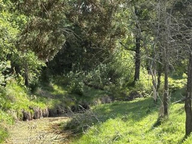 Land for sale in Gustine, Texas