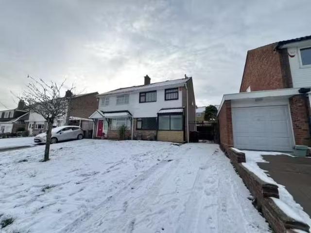 House for rent