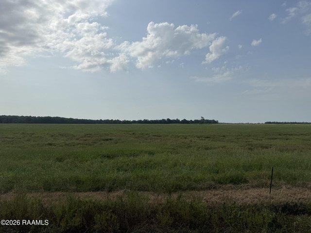 Land for sale in Evangeline, Louisiana