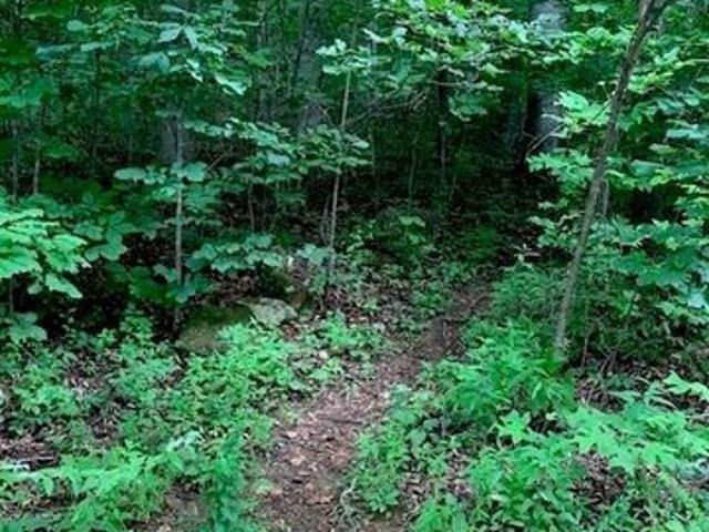 Land for sale in Montreat, North Carolina