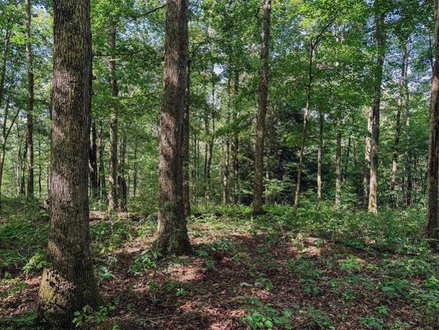 Land for sale in Bruceton Mills, West Virginia