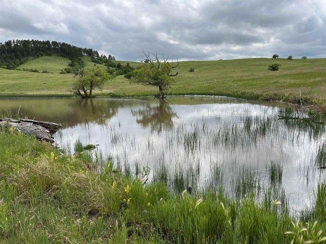 Land for sale in Whitewood, Lawrence County