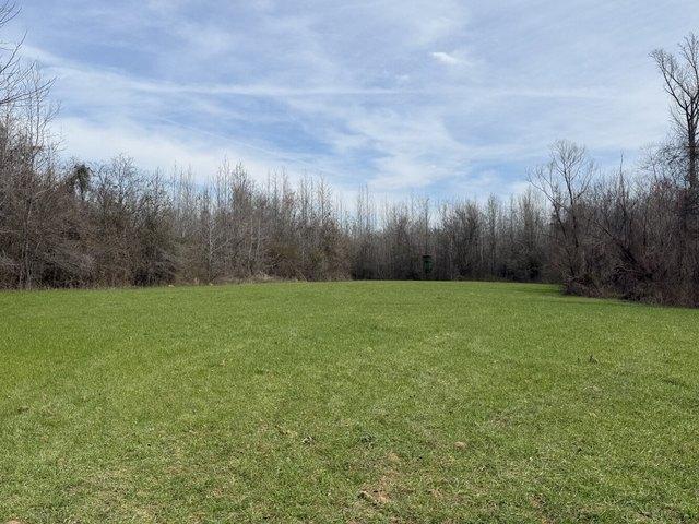 Land for sale in Moundville, Alabama