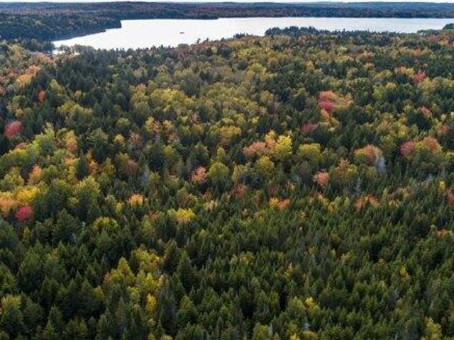 Land for sale in Whiting, Maine