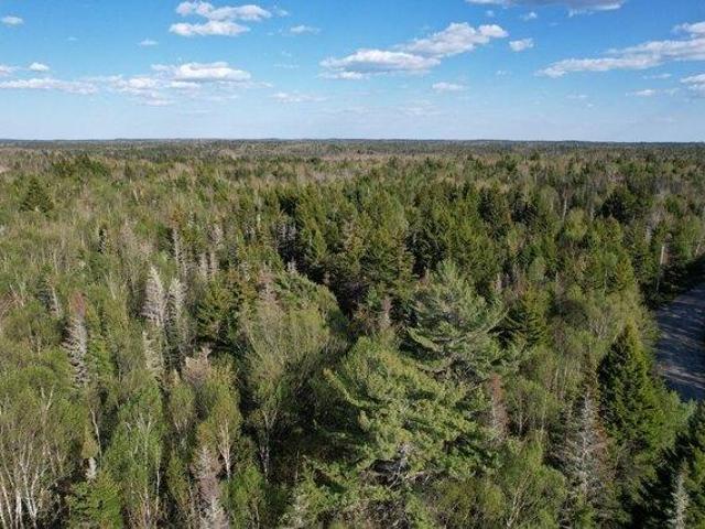 Land for sale in Whiting, Maine