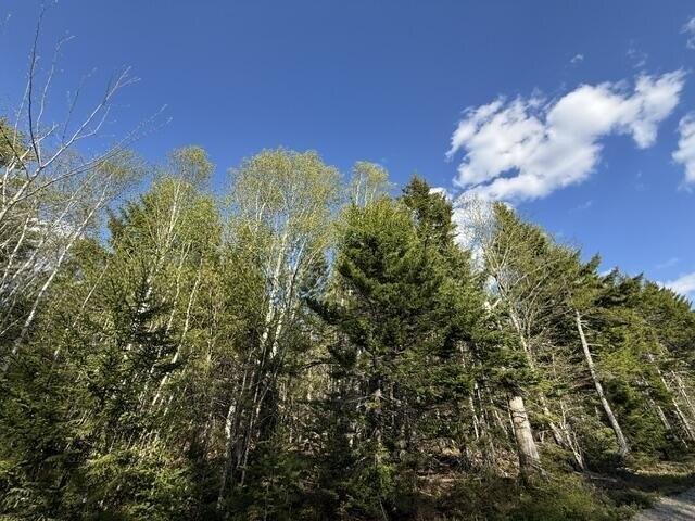 Land for sale in Whiting, Maine